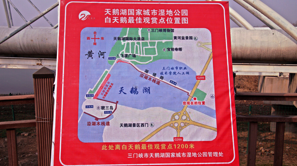 合肥天鹅湖公园地图图片