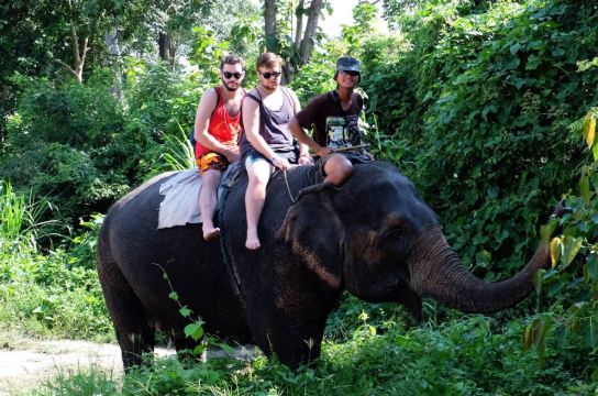 路上遇到裸骑大象的一堆儿,中文真是好啊. pai夜市