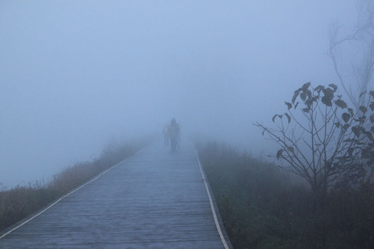 孕妇梦境中的龙，河之祸与内心深处的隐喻