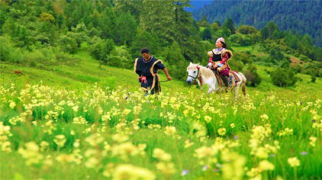 林芝至色季拉山鲁朗林海鲁朗花海牧场鲁朗国际小镇直通车一日游