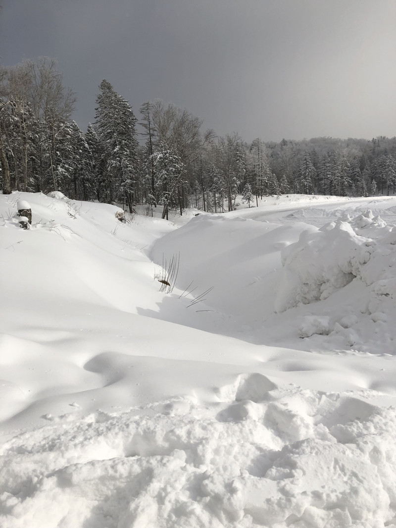 你想不想堆个雪人简谱_宝宝幼儿园 你想不想堆个雪人(2)