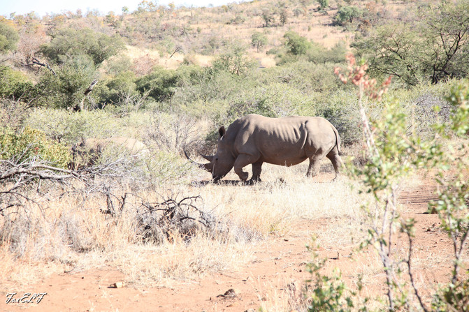 2016年暑假南非、迪拜10日跟团游 - 开普敦游