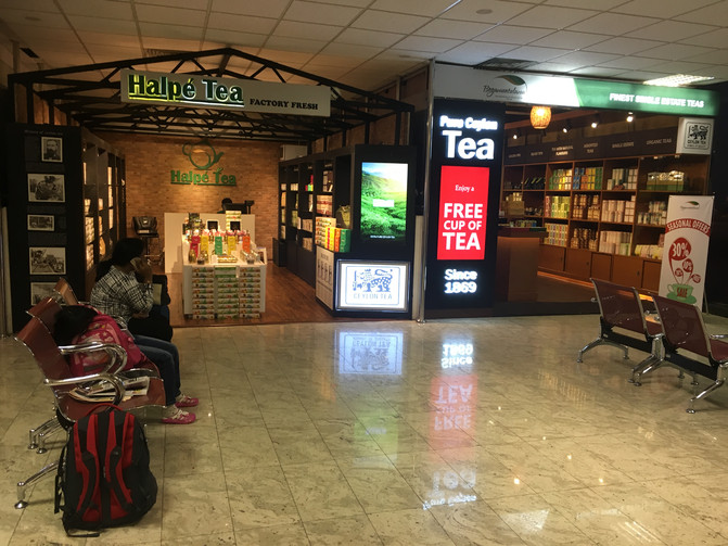 白沙细软、海水清亮、游鱼斑斓--马尔代夫蓝美