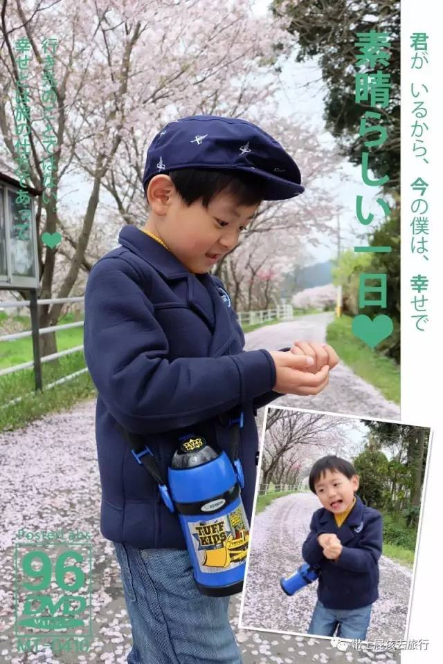 2000块,坐着邮轮去日本赏樱!最好的赏樱玩法~