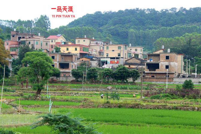 荏畲村