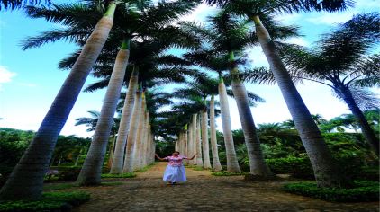 兴隆热带植物园（3）