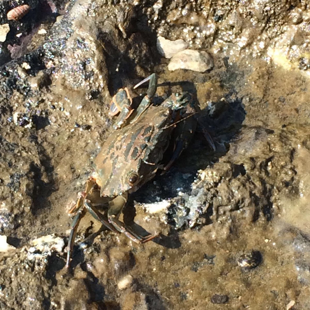 不过玩了两天,也该继续前行了,同样是故地重游——厦门.