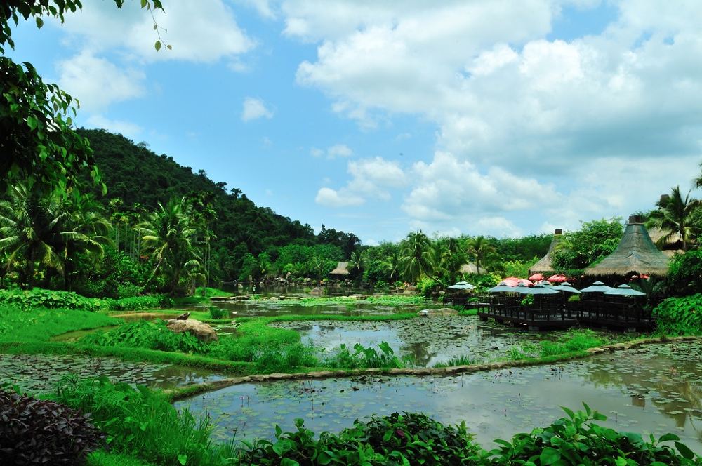 yanoda rainforest cultural tourism zone