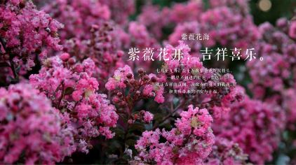 万紫千红植物园