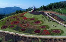 芒市孔雀谷天气预报,历史气温,旅游指数,孔雀谷