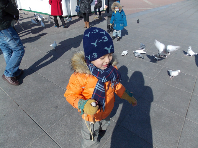 大连恐龙馆、星海广场、老虎滩乐园春节自驾亲