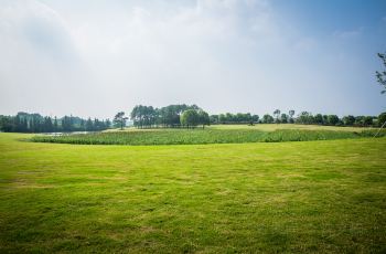 【携程攻略】南京高淳国际慢城旅游度假区交通