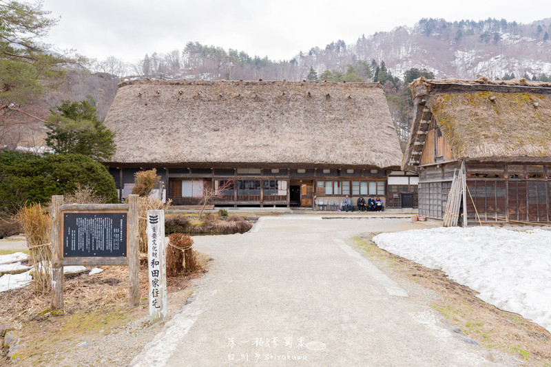 #猎艳行动#日本升龙道樱花之旅(名古屋、高山