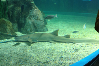 金鹰海底世界 - 常州游记攻略