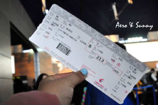 (终于拿到机票了!