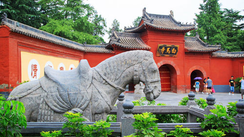 河南旅游新发现：龙门石窟、白马寺、少林寺等你来体验