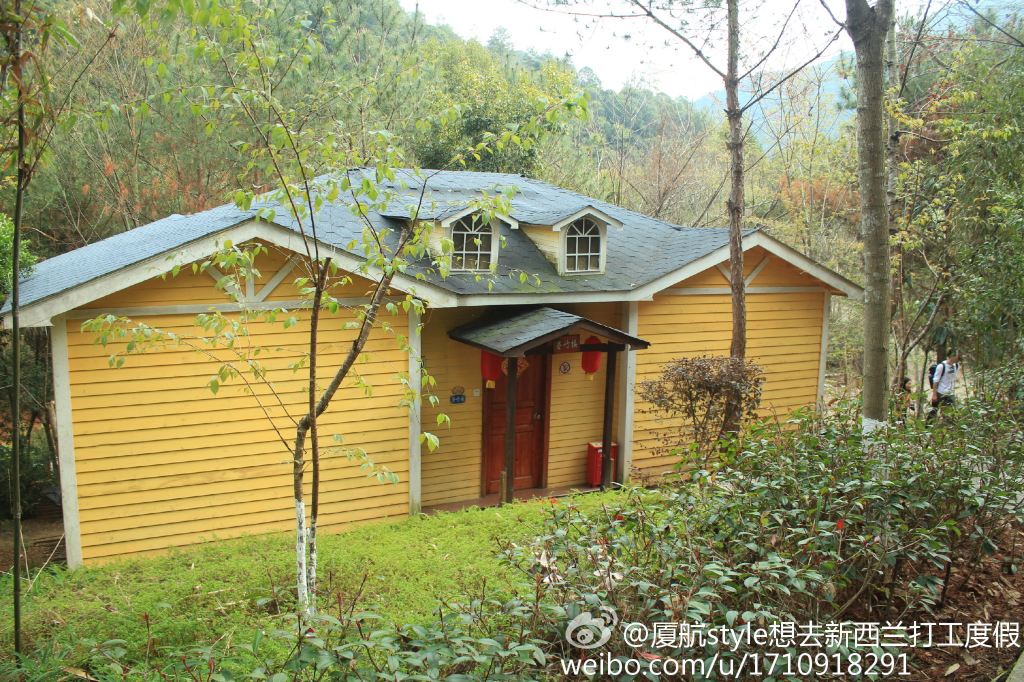 加油站#清新福建,水上茶乡九鹏溪