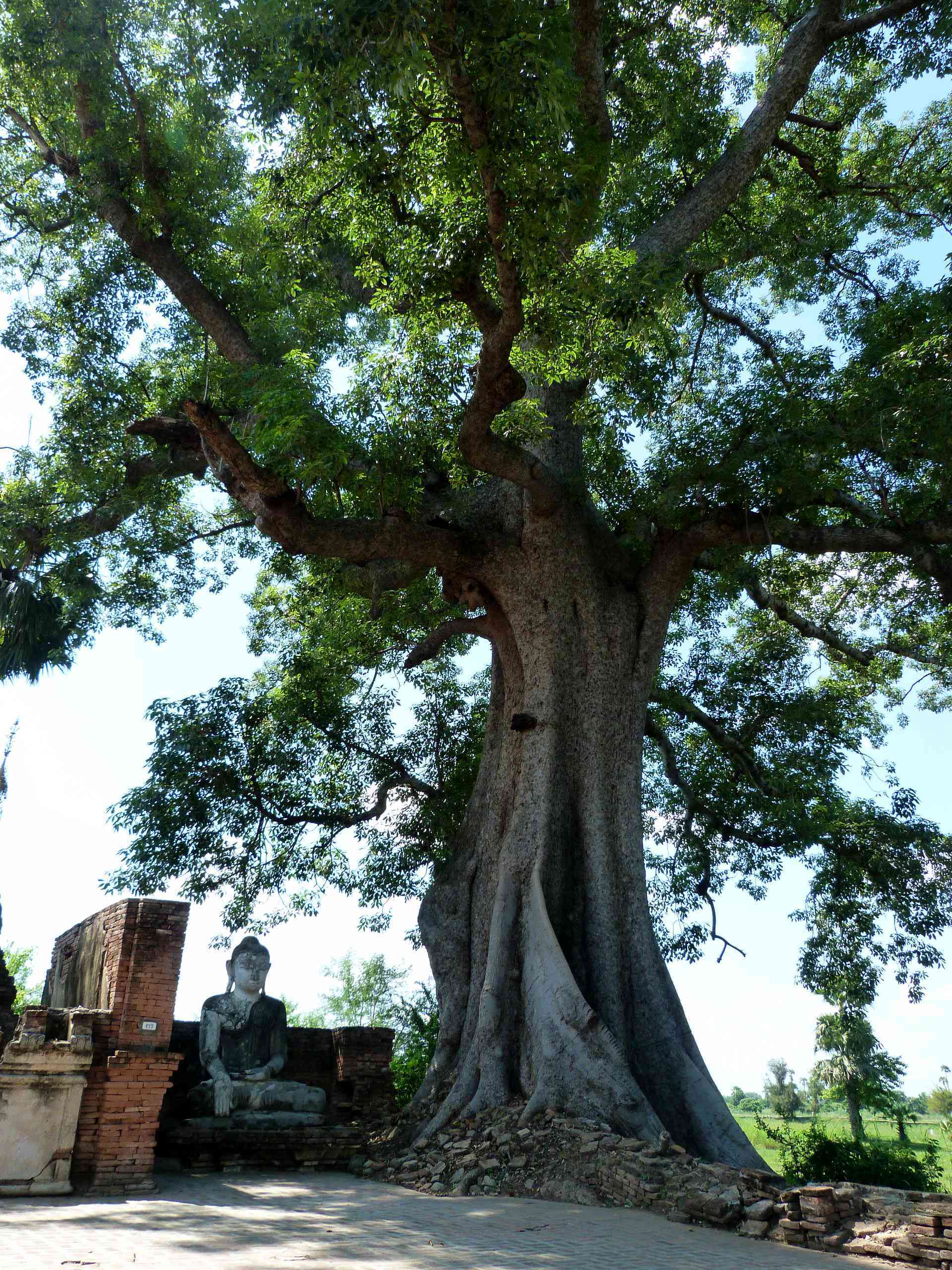 佛国掠影-缅甸八天旅行见闻