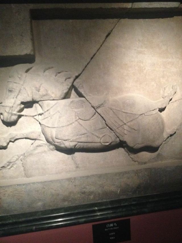 西安碑林博物馆—昭陵六骏
