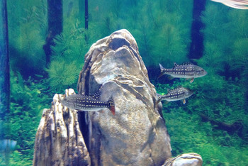 金鹰海底世界 - 常州游记攻略【携程攻略】