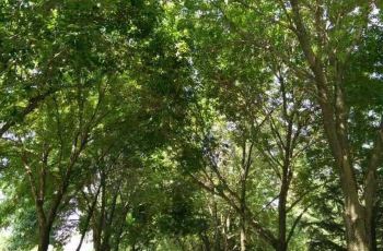 【携程攻略】柳州白莲机场介绍,柳州白莲机场