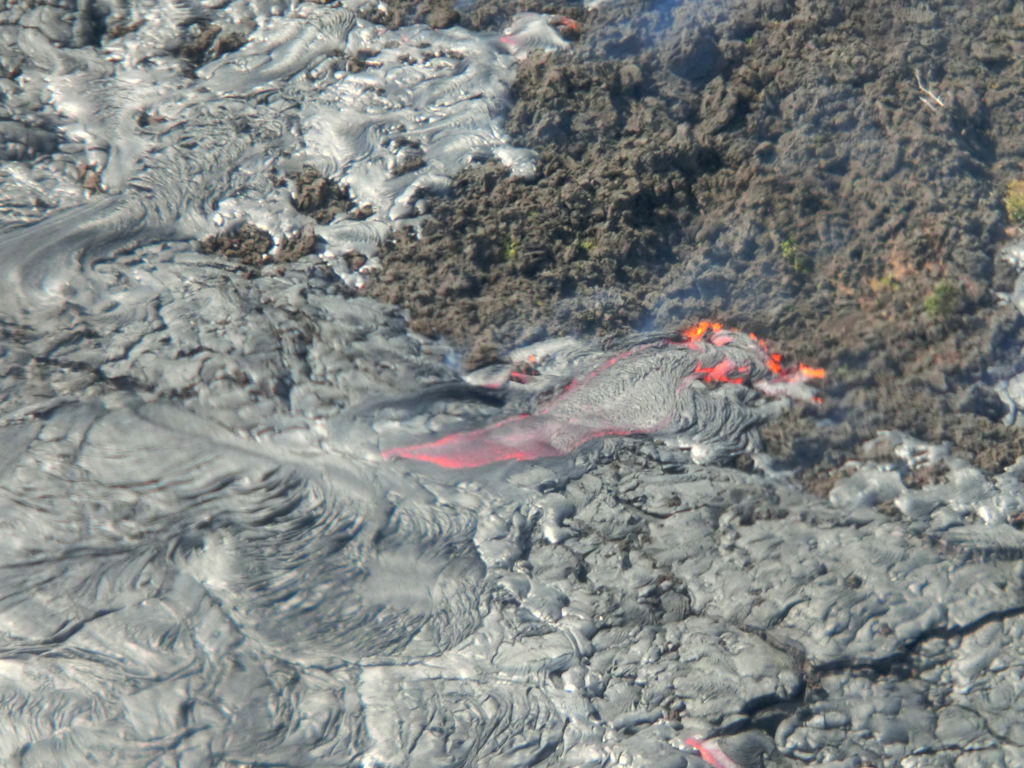 火山雨林大洋,每一天都是嶄新的…青島揹包客夏威夷半月自由行(下)