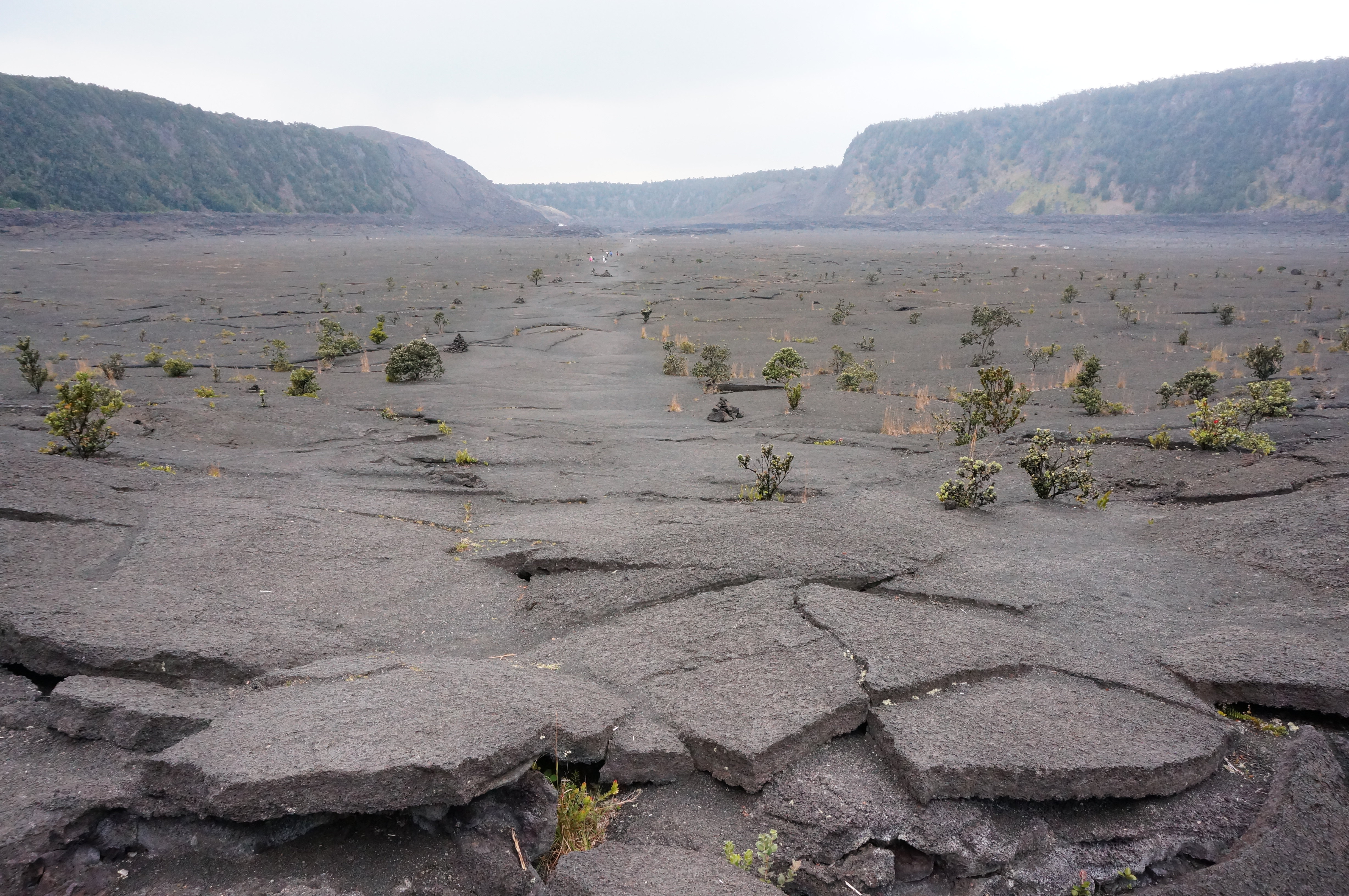火山雨林大洋,每一天都是崭新的…青岛背包客夏威夷半月自由行(下)