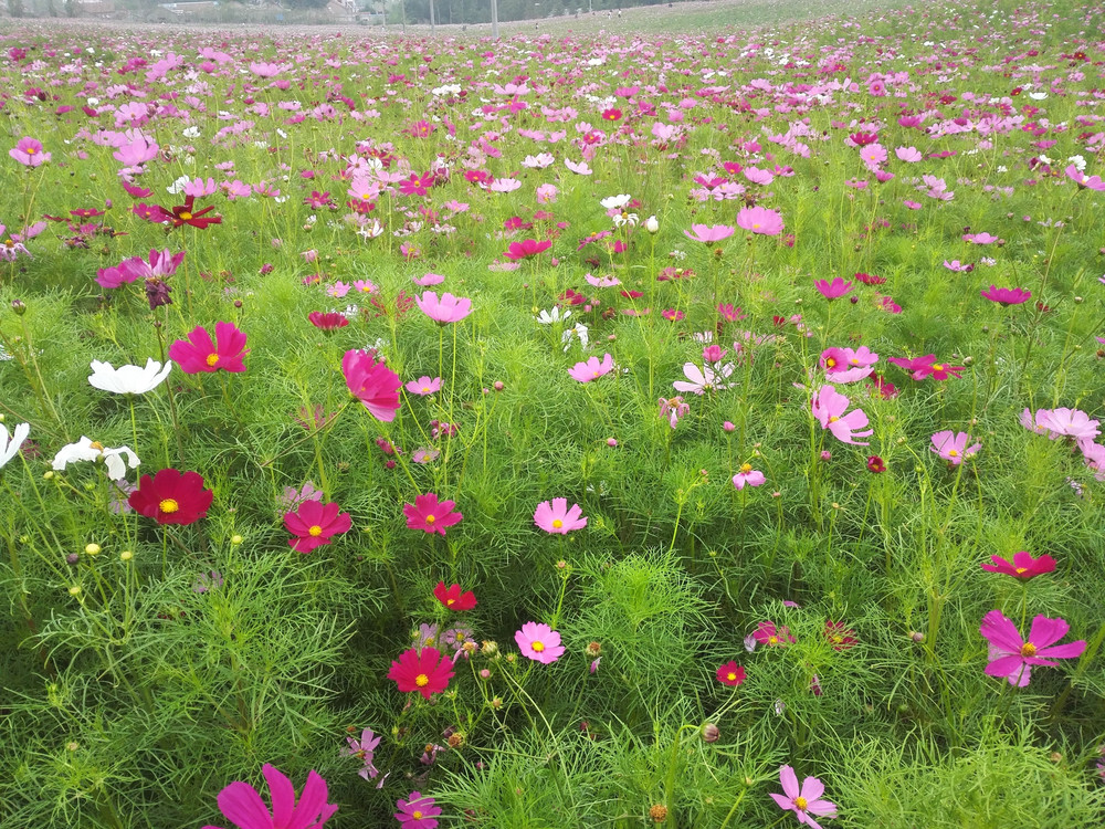 龙虾之都--江苏盱眙 周末两日游 江苏九寨沟的