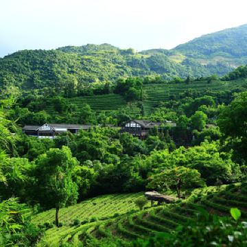 三洲茶园门票,深圳三洲茶园攻略/地址/图片/门票价格【携程攻略】