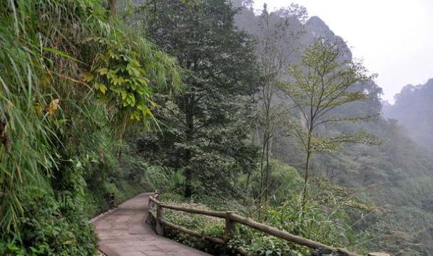 化石游道门票,峨眉山化石游道攻略/地址/图片/门票价格【携程攻略】