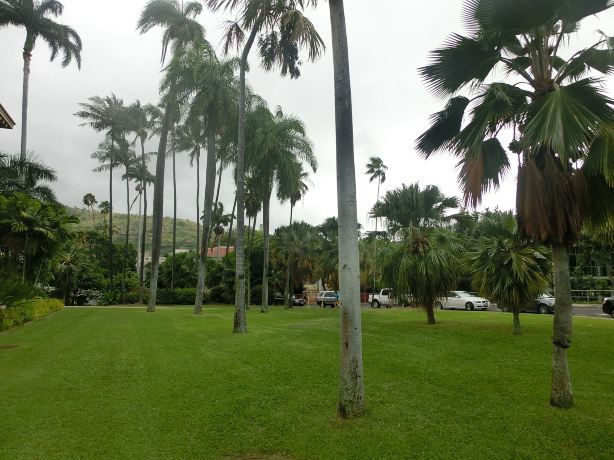 夏威夷马诺大学