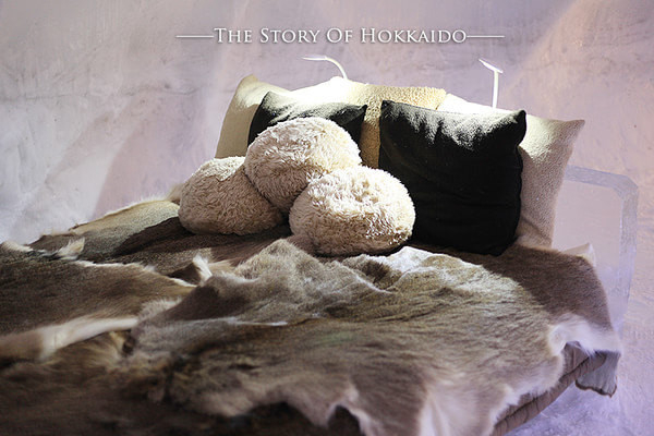 这张床也不例外,用冰砌成,我想若是躺在这上面,是不是与寒冰床无异了