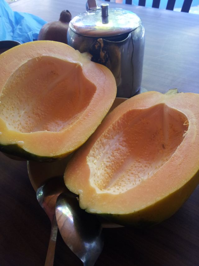 硕大的木瓜竟然没有籽,好大一个空心无籽木瓜