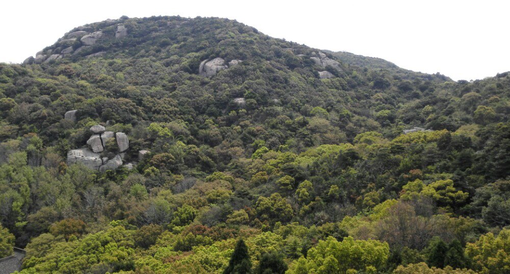 舟山朱家尖白山景區半日遊