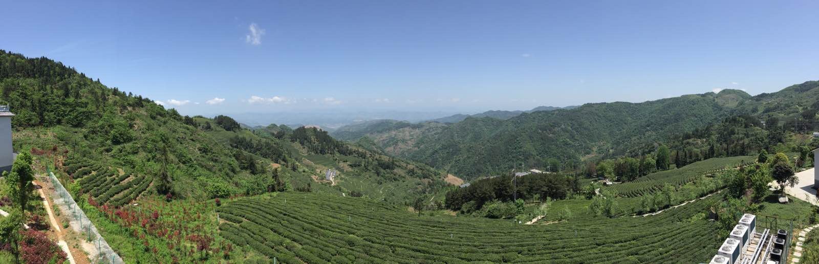 龙王垭养生山庄