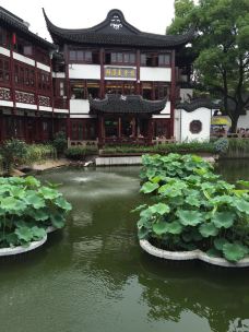 上海城隍庙相爷府茶楼【单人中式点心自助午餐】