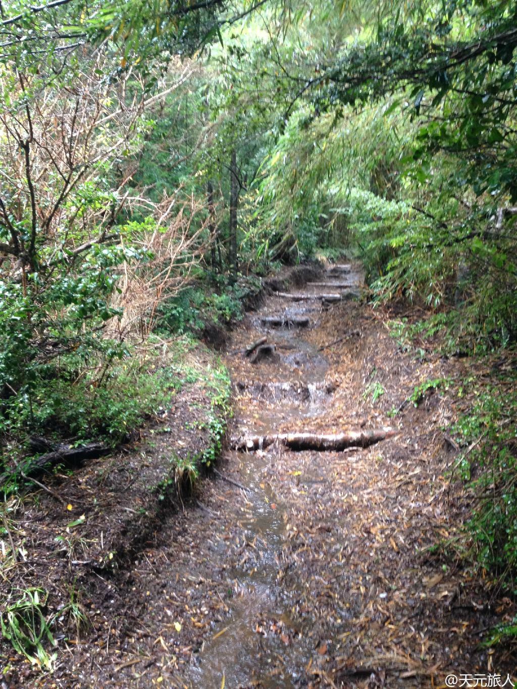 雨天的山路很難走,極度泥濘,每一腳都能踩出一個泥印來.