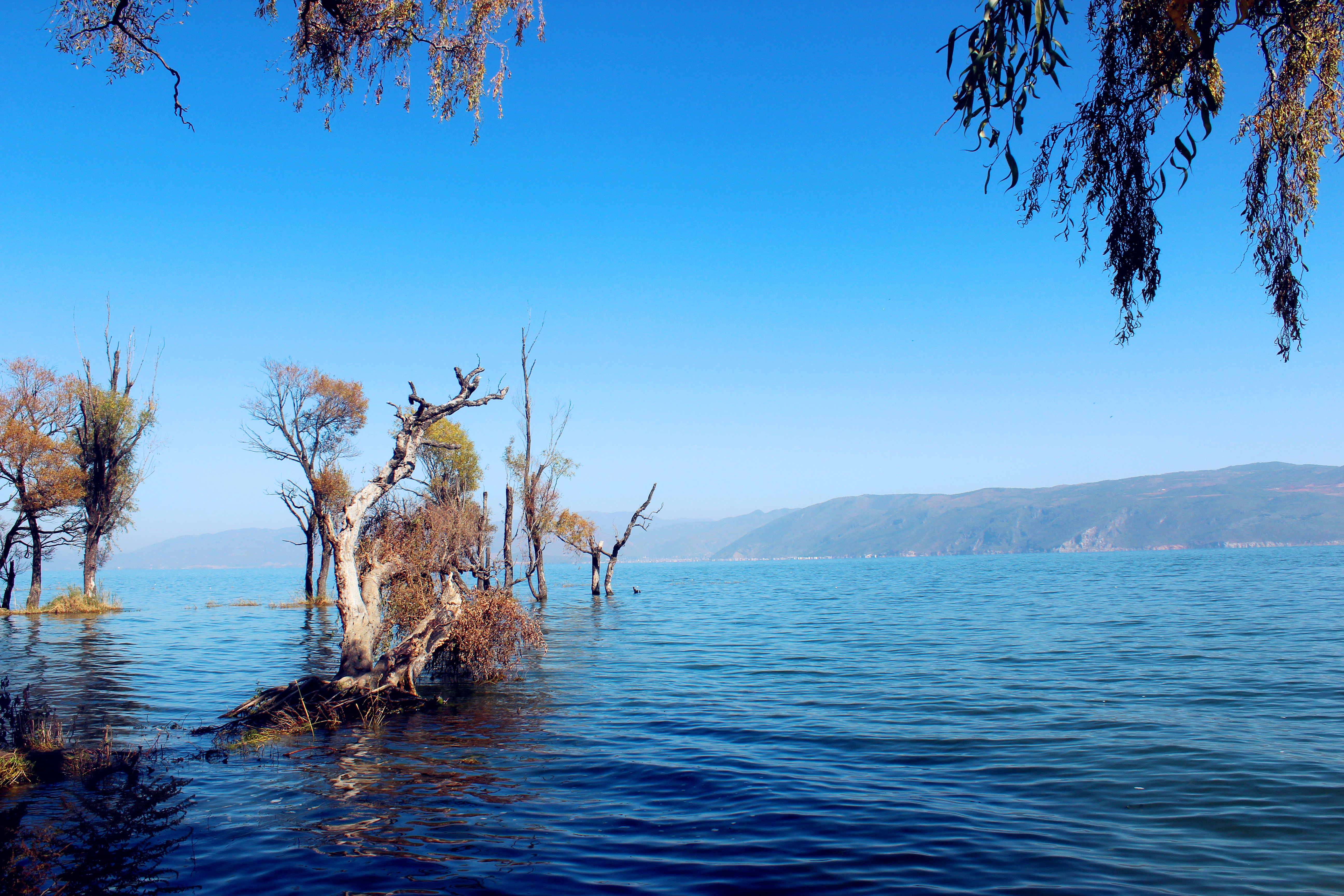云南(时光带我穿越丽江—拉市海—玉龙雪山—香格里拉—大理—洱海等)