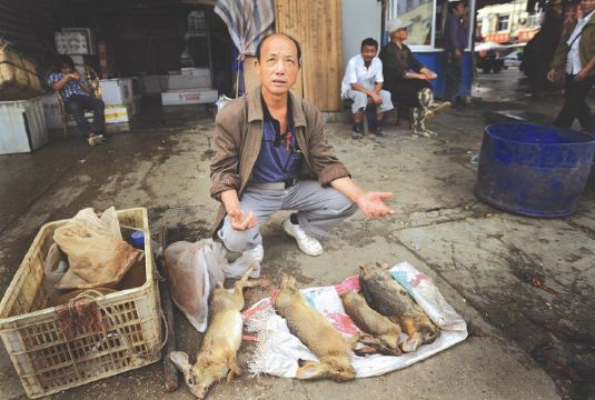 武汉野味广告火爆:狼崽肉上餐桌 鳄鱼肉168元1斤
