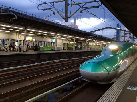 东京十日,温故知新之旅