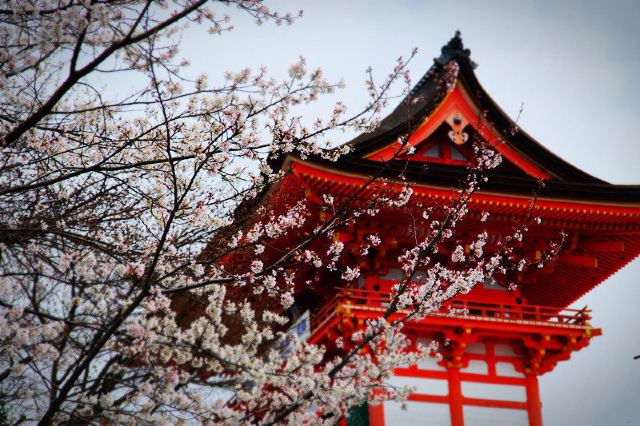就是这番场景. 京都清水寺