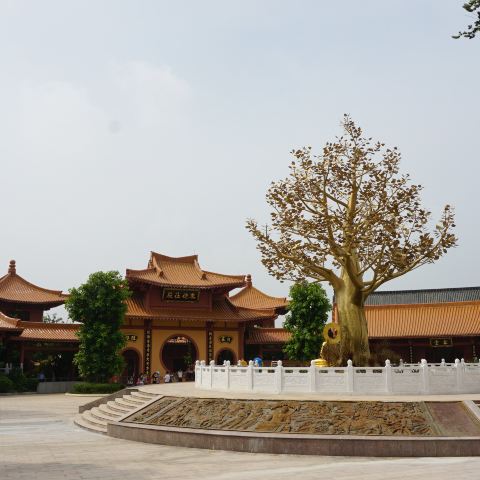 广东河源2天1晚跟团游记(万绿湖,镜花缘,桂山,巴伐利