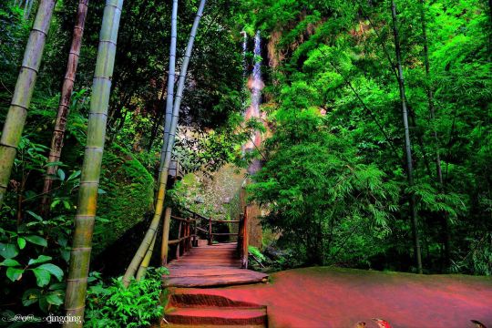 三峡 天坑 竹海~邮轮 自驾 洗肺 - 宜宾游记攻略【携程攻略】