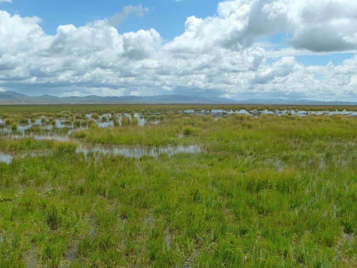 遥远的草原,难忘的若尔盖