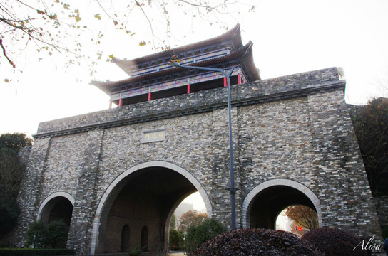 据百度百科了解到,仪凤喻有凤来仪之意,与钟阜门相对而