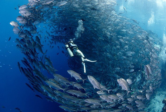 仙本那ow aow,诗巴丹完美潜水假期