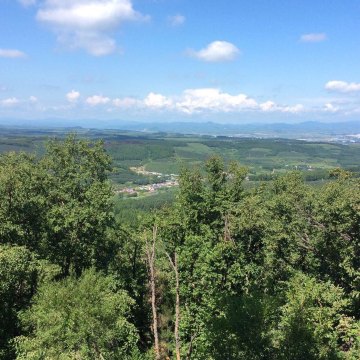 帽儿山国家森林公园