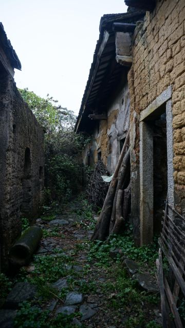 我的家乡在揭阳龙尾新丰村