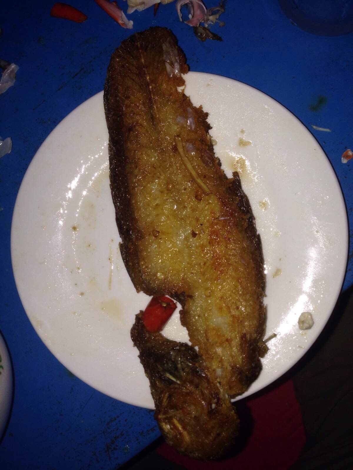 豆豆鱼,刺很小,肉很多,很鲜