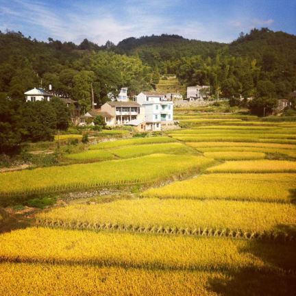 天台县的的县城,天台县,天台县(第10页)_大山谷图库